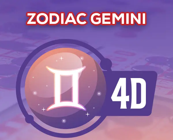 4D Gemini